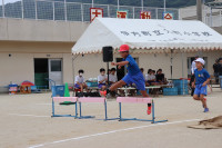 IMG_6553